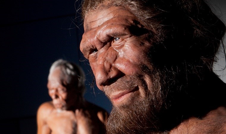 Neandertal DNA’sı taşıyor olabileceğinizin 6 işareti