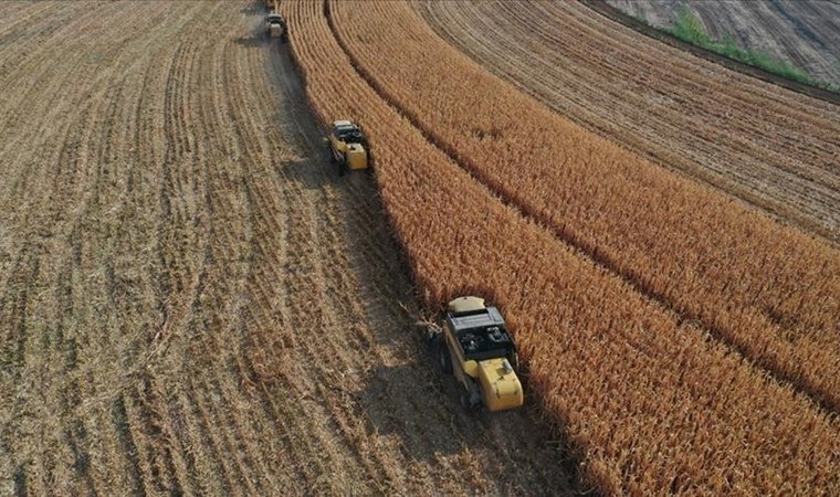 Tarım üretici enflasyonu bir yılda yüzde 72 arttı