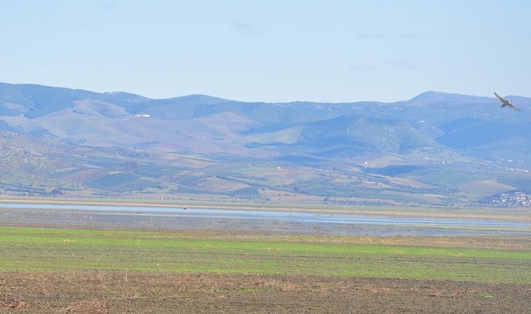 Son yağışlar kuruyan Marmara Gölü’ne umut oldu