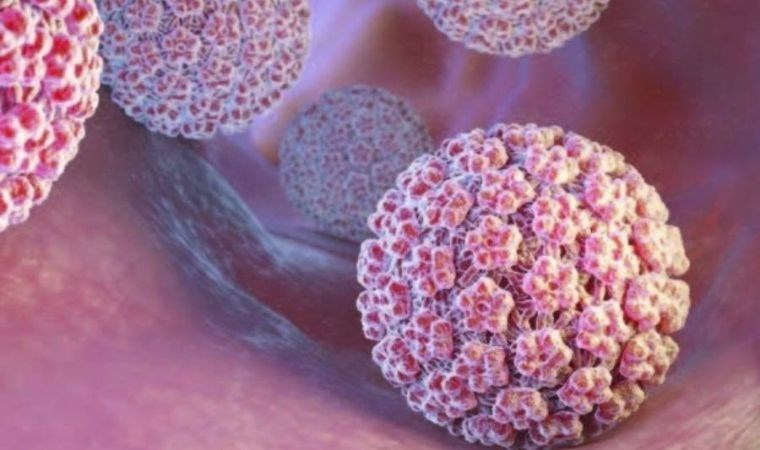 HPV aşısı, kişiyi HPV virüsünün neden olduğu hastalıklardan korur