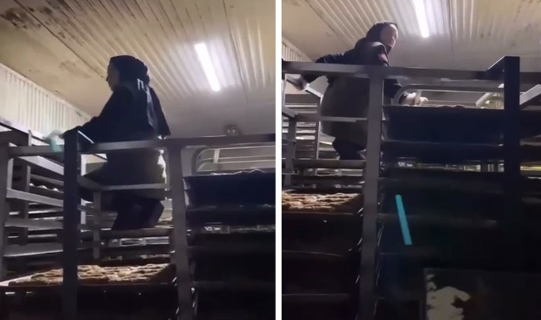 Fırında skandal görüntüler: Çizmeleriyle kurabiye dolu rafların üzerinde dolaştı