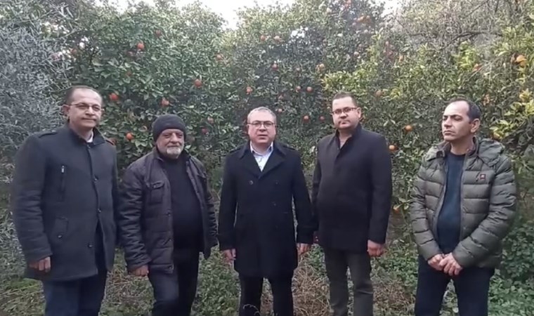 CHP’li Karakoz: Narenciye dalda kaldı, üretici ağaçlarını söküyor!