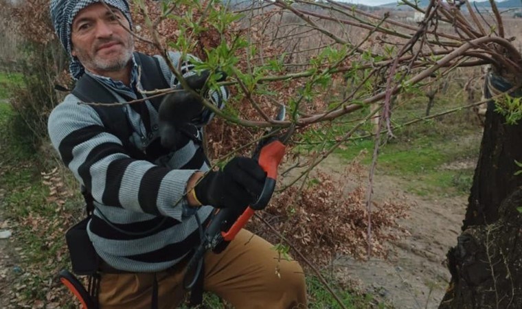 Sarıgöl’de çiftçi sürpriz ile karşılaştı! Ocak ayında çiçek açtı…
