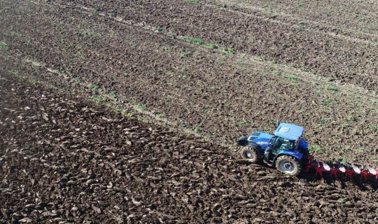 Batak Ovası’nda hasat bitti: Üreticiler umduğunu bulamadı! Yüzde 50 düşüş…