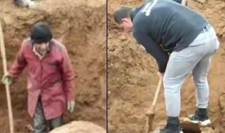 Çiftçinin ayağına takıldı, koruma altına alındı! 200 kilo ağırlığında… Gören gözlerine inanamadı