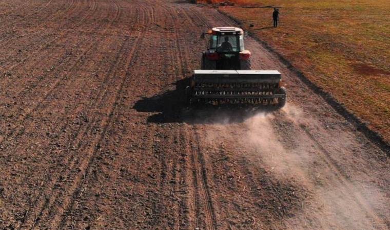 Türkiye’nin tahıl ambarında yağışlar gecikti! Çiftçinin başı ‘rekolte düşmanı’ ile dertte…