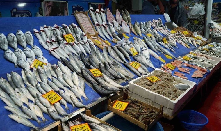 Hamsi, mezgit, istavrit, çinakop, tekir… Kar yağışı ve fırtına balık fiyatlarını vurdu