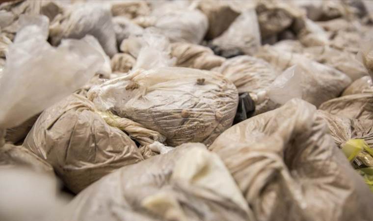 İran’da 9 kişi idam edildi