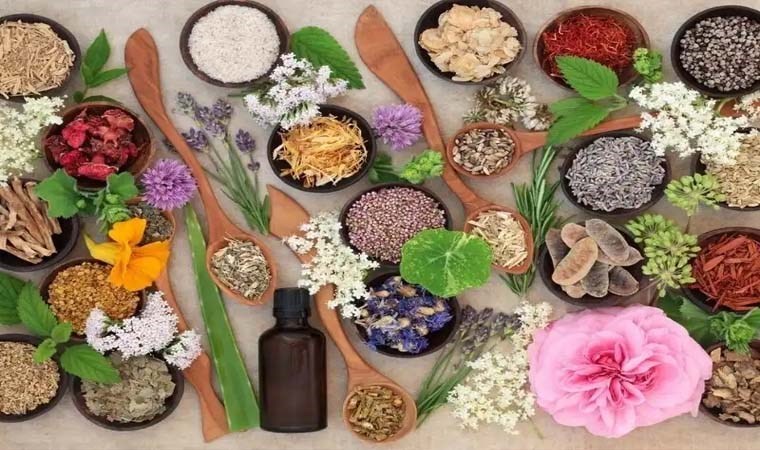 Bilim insanları doğadaki en güçlü mikrop öldürücüyü açıkladı