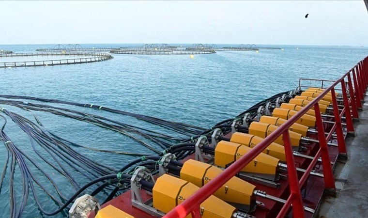 Doğal liman kentinde üretiliyor, Rusya, Japonya ve Avrupa’ya gönderiliyor! 88 milyon 755 bin 842 dolar gelir elde edildi..