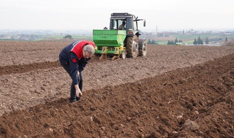 54 bin 660 dekar alanda ekim tamamlandı! Mayıs ayında hasat edilecekler…