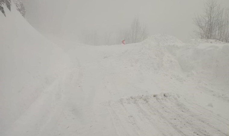Ardahan-Artvin karayoluna çığ düştü