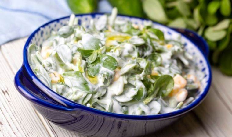 Hafif ve bir o kadar da lezzetli: Yoğurtlu semizotu salatası…