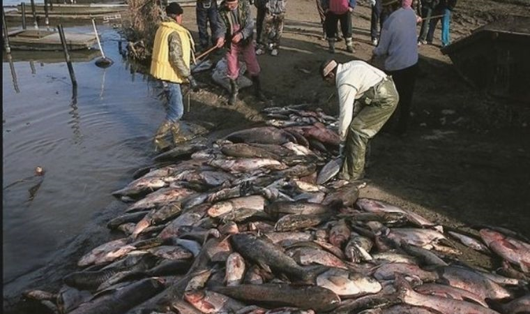 Dünyadaki en büyük siyanür kazası: Etkileri yıllarca devam etti...