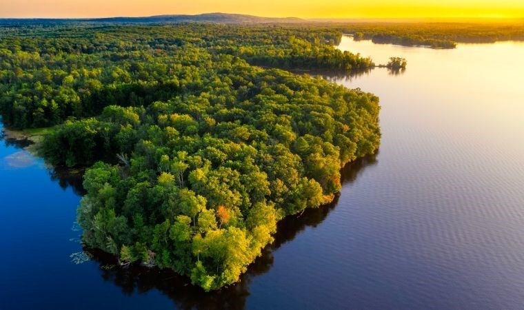 Amazon Ormanları için tehlike çanları çalıyor! 2050’ye kadar yarısı yok olabilir