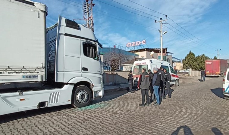 Tır şoförü aracında ölü bulundu