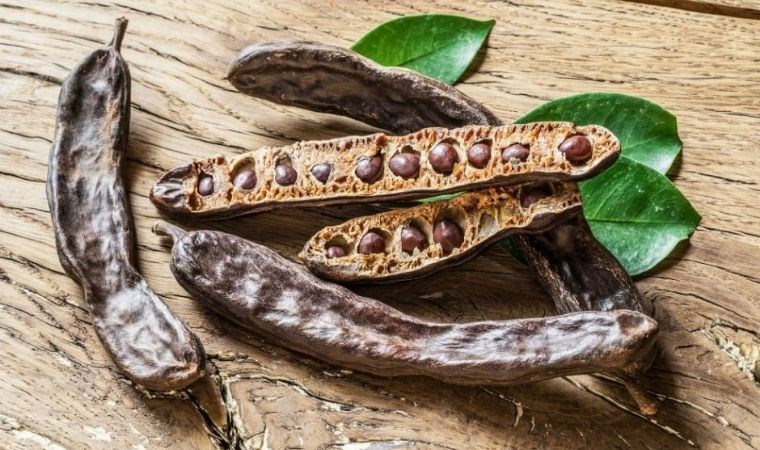 Her derde deva: İşte Keçiboynuzunun  6 mucizevi faydası…