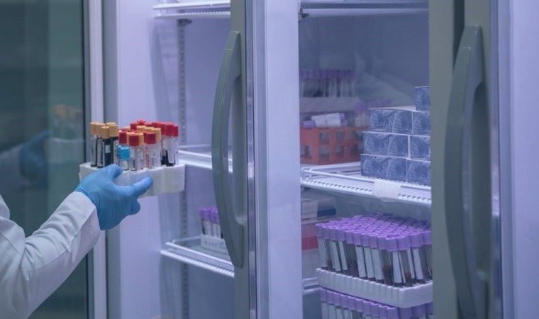 Soğutucu arıza yaptı: Yılların araştırması çöp oldu