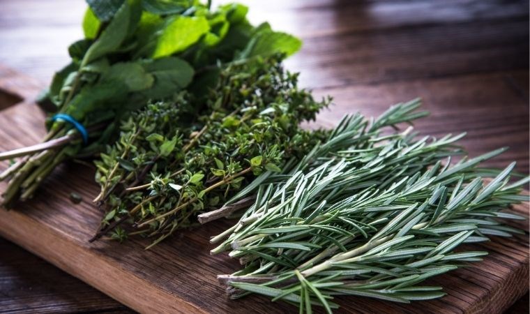 Sindirim sistemi dostu doğal çözüm: Geleneksel bitkinin yeniden keşfedilen faydaları