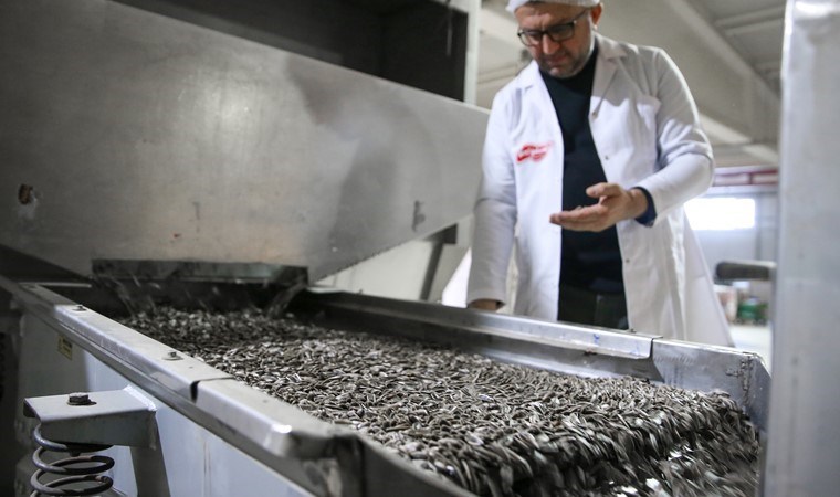 Su tüketimi az olduğu için tercih ediliyor: Konya Ovası’nda üretimi artıyor!