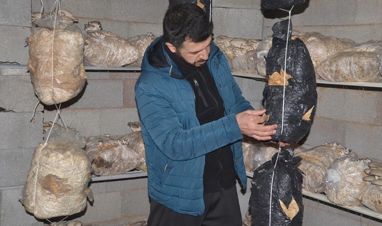 Sosyal medyadan gördüğü videoda ile evinde üretime başladı! 1,5 ton ürün elde etti…