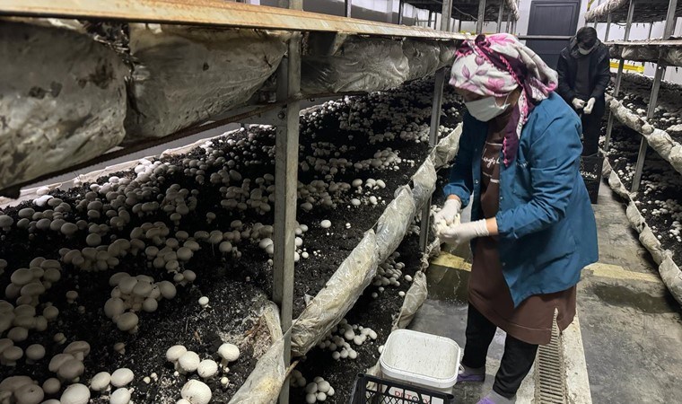 120 metrekarelik alanda yılda 60 ton üretim gerçekleştiriyor!