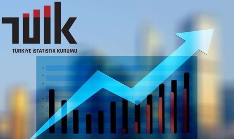 TÜİK eski Başkanı Birol Aydemir’den çarpıcı açıklama! ‘Hepsi yargılanmalı Mehmet Şimşek göz yumuyor’