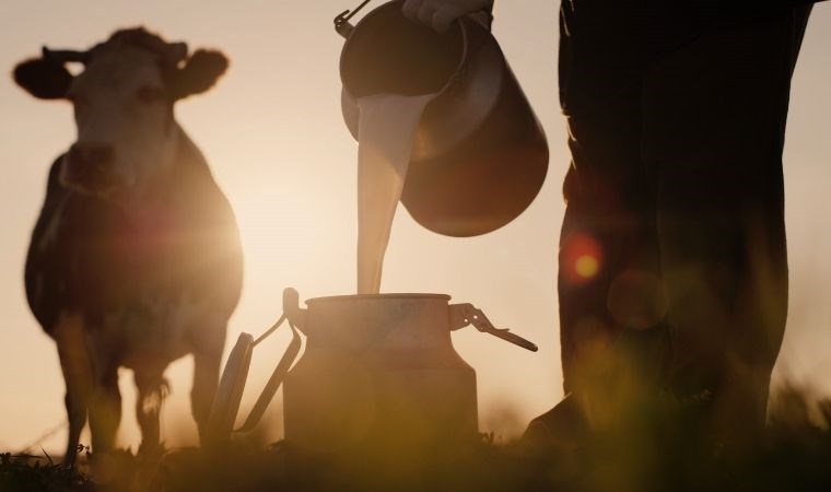 Tarihin en ölümcül süt salgını: 8 bin bebek hayatını kaybetti