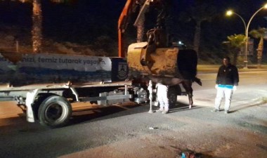 Yaban domuzu ortalığı savaş alanına çevirdi, 3 araç birbirine girdi: 2 yaralı – Son Dakika Türkiye Haberleri | Cumhuriyet