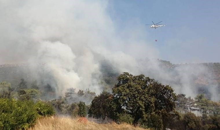 Antalya’da ormanlık alanda yangın!