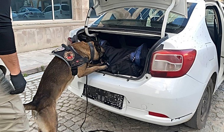 Otomobildeki 11 kilo uyuşturucuyu ‘Kongar’ buldu: 1 gözaltı