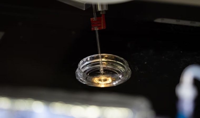 Dokunma duyusunda önemli rol oynayan bir protein keşfedildi