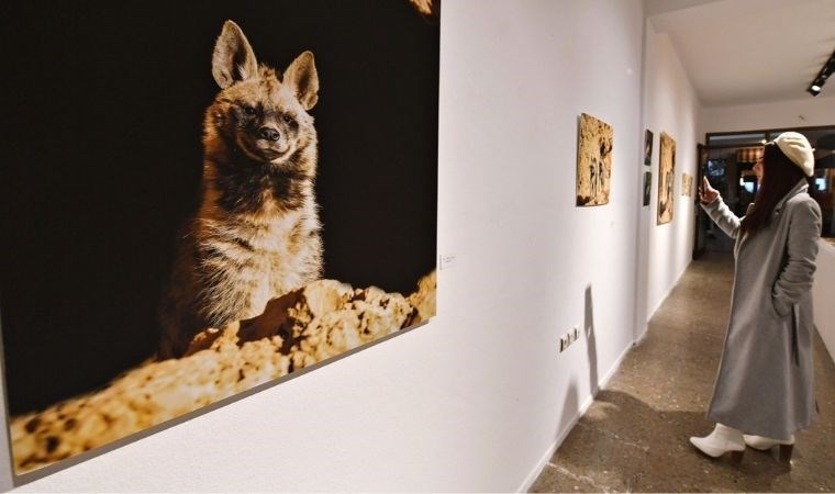 “Sırtlan Bilgisi” fotoğraf sergisi açıldı