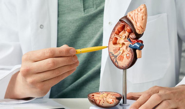 Uzmanından kronik böbrek hastalığının ilerlemesini önleyecek 10 öneri