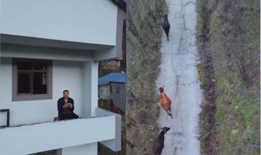 Giresun'da yaşayan çoban inekleri bahçeden drone ile getiriyor – Son Dakika Yaşam Haberleri | Cumhuriyet