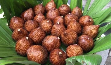 Asyalıların uzun yaşamının sırrı bu meyvede saklı: Hem adı hem de faydaları ile herkesi şaşırtıyor… – Son Dakika Yaşam Haberleri | Cumhuriyet