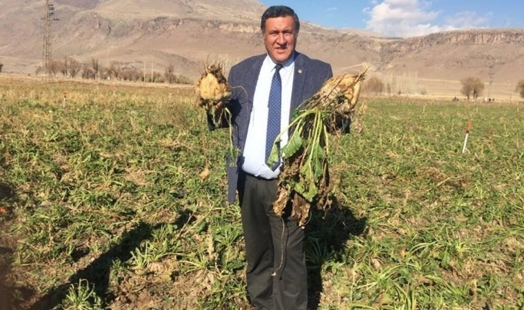 Pancar üreticisinin kaybı 680 dolar