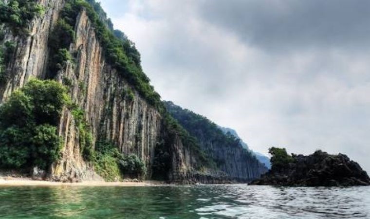 Dünya’da sadece 4 yerde var! Biri Bartın’da…