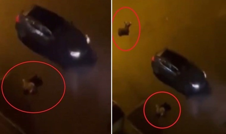 Batman’da dehşet… Birlikte yaşadığı kadın ve yanındaki erkeği öldürdü