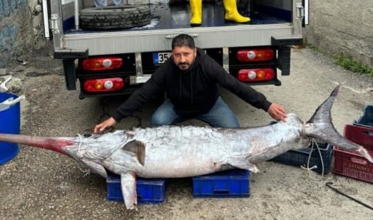 Adana’da balıkçılar 150 kiloluk kılıç balığı yakaladı: 3 metre boyunda