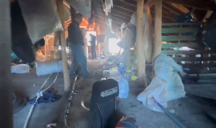 Samsun’da ‘darp ve tehdit’ şüphelilerine operasyon: 10 gözaltı