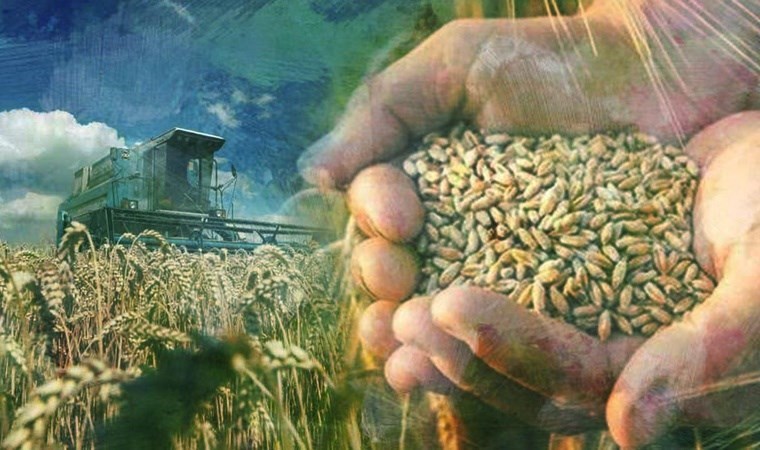 Küresel gıda krizi kapıda: Fiyatlar yükselecek