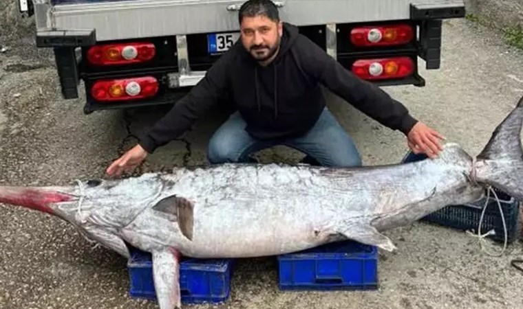 Bu büyüklükte olanı ilk kez yakalandı! Avladığı o balığı 30 bin TL’ye sattı: 3 metre boyunda, 150 kilo…