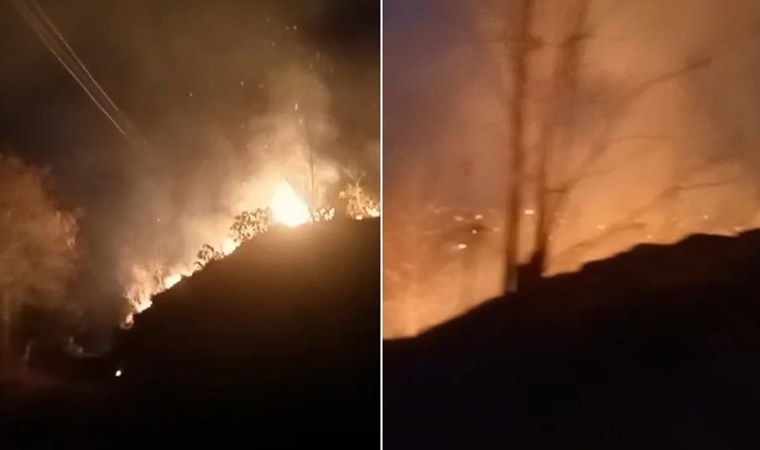Rize’de korkutan orman yangını!