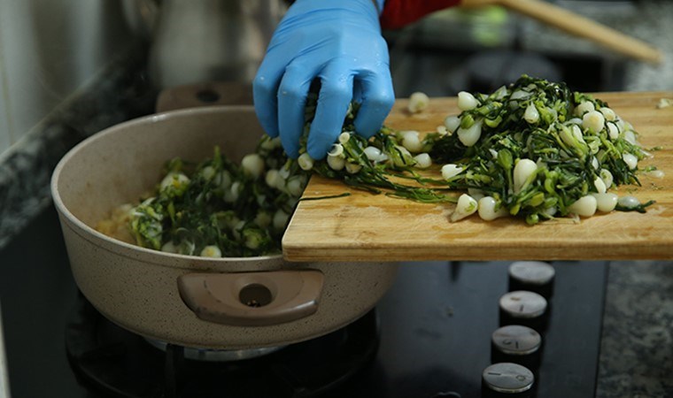 Ordu’nun tescilli lezzetinde hasat başladı: Doğadan toplanıyor…