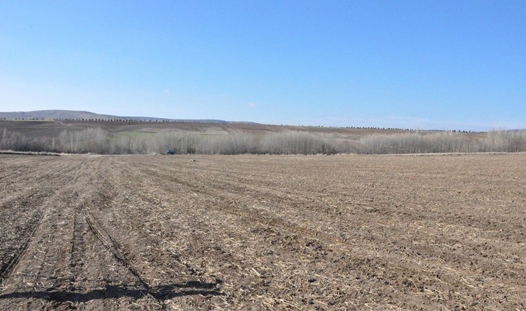 Nadasa bırakılan alanlara ekilecek: 20 ton ürün beklentisi…