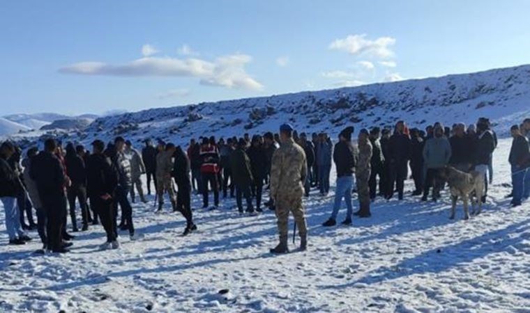 Köpek dövüştürenlere suçüstü: 83 kişiye ceza kesildi