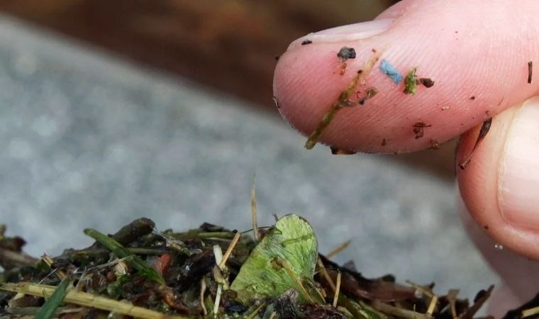 Tarihi kalıntılarda dahi mikroplastiklere rastladı