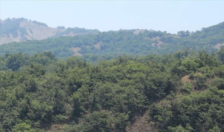 Çanakkale Valiliği’nden ‘orman yangını’ uyarısı