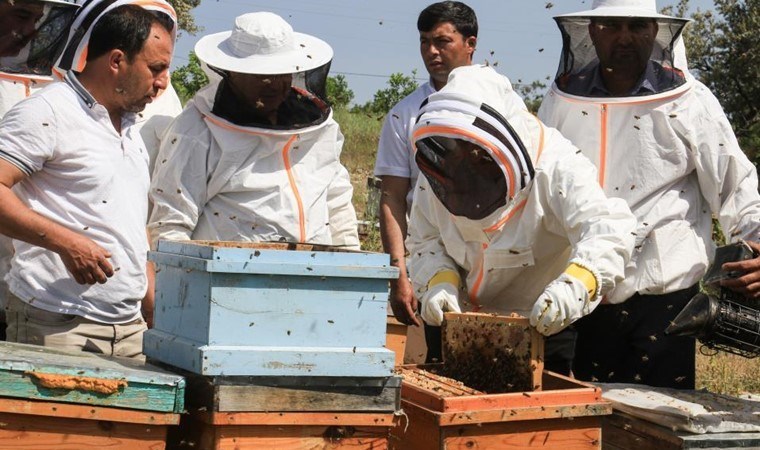 Mersin’de yılın ilk hasadı başladı: 3 bin 500 ton üretim